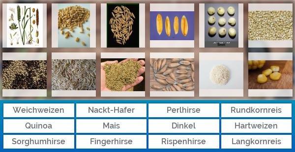 Getreide und Pseudogetreide