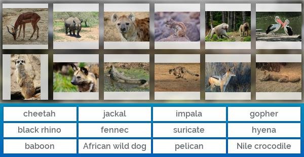 African animals