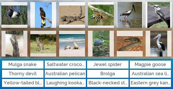 Australian animals